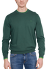 MAGLIA UOMO GIROCOLLO IN MERINO E COTONE VERDE